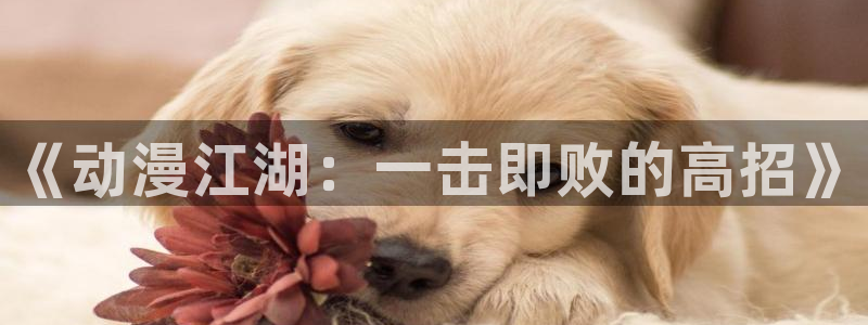 58动漫网全网动漫全集免费观看