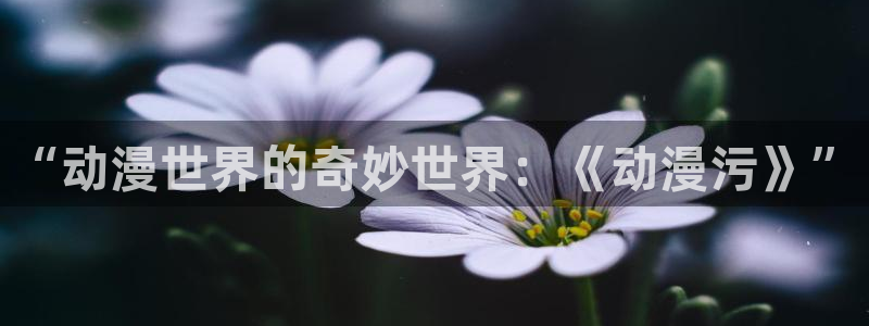 58动漫网手机版下载