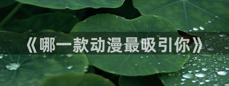 58动漫网站官网：《哪一款动漫最吸引你》