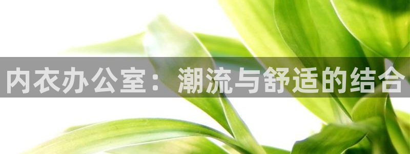 58动漫官网入口：内衣办公室：潮流与舒适的结合