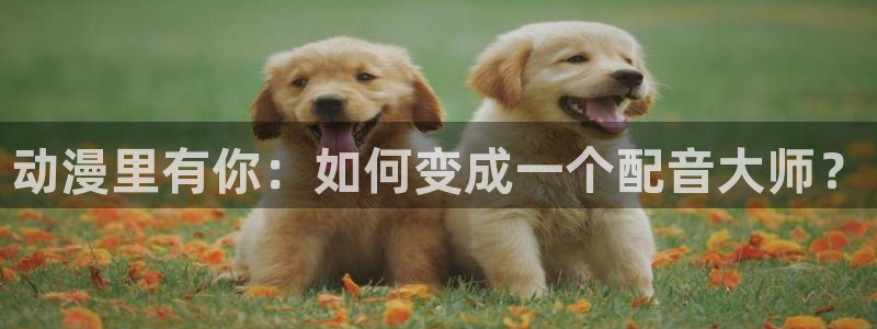 免费58动漫：动漫里有你：如何变成一个配音大师？