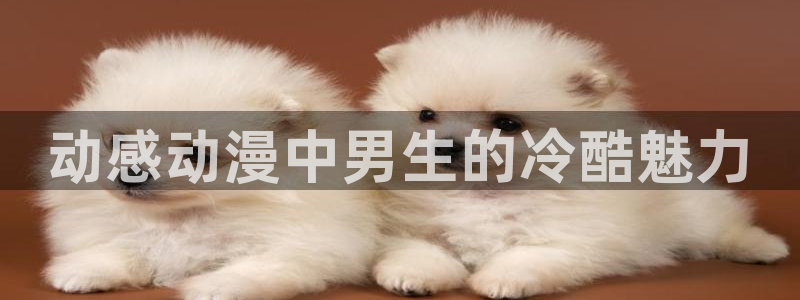 58动漫网站官网免费下载：动感动漫中男生的冷酷魅力