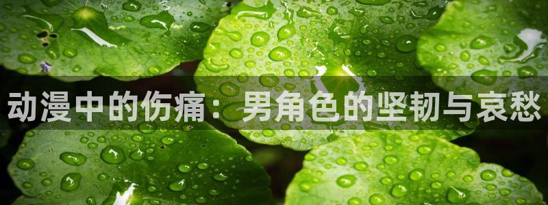 58动漫h：动漫中的伤痛：男角色的坚韧与哀愁